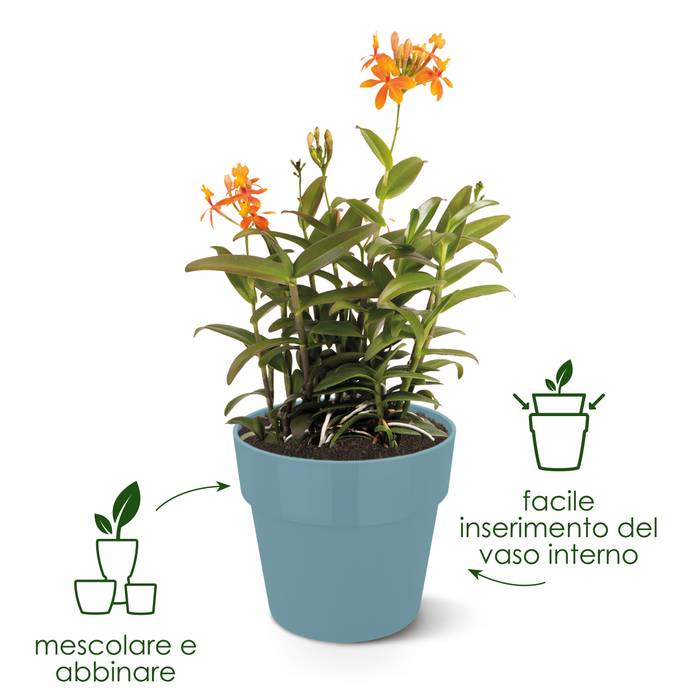 b.for original round 30cm grigio azurro